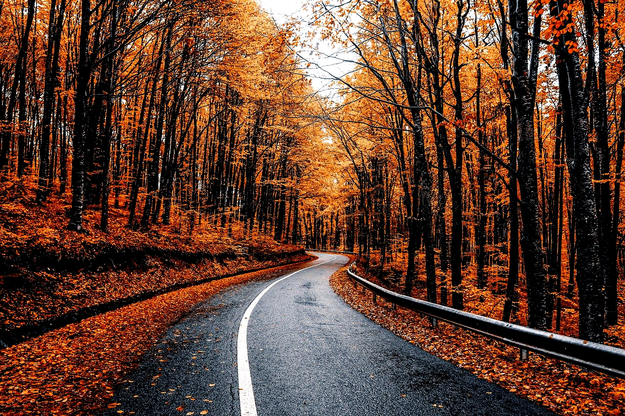 Fünf Tipps und Tricks für eine gute Autofahrt durch den Herbst!